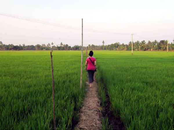 Kuttanad