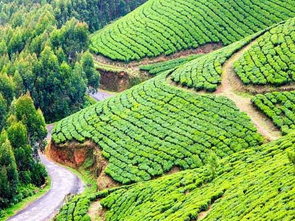 Munnar