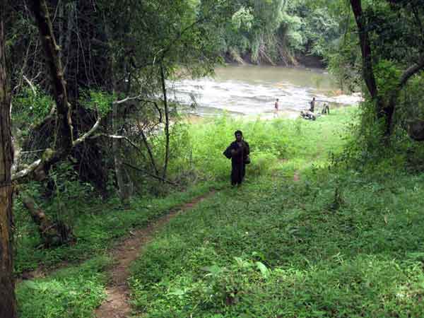 Parambikulam